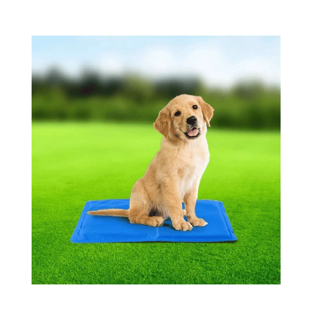 Pet Cooling Mat For Dogs & Cats 30 x 40cm - Image 2