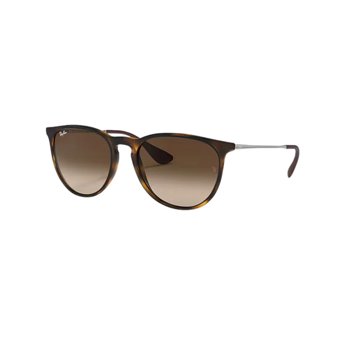 RayBan Erika Havana Sunglasses